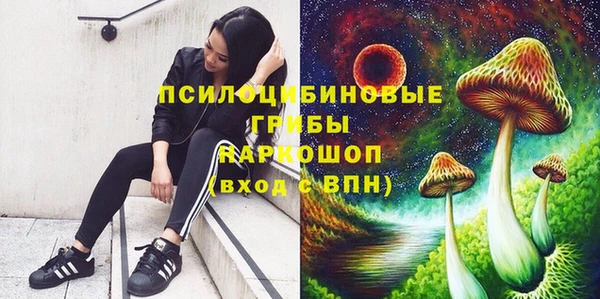сатива Арсеньев