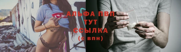 сатива Арсеньев