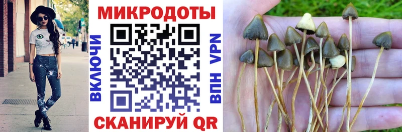 Галлюциногенные грибы MAGIC MUSHROOMS  хочу наркоту  Фатеж 